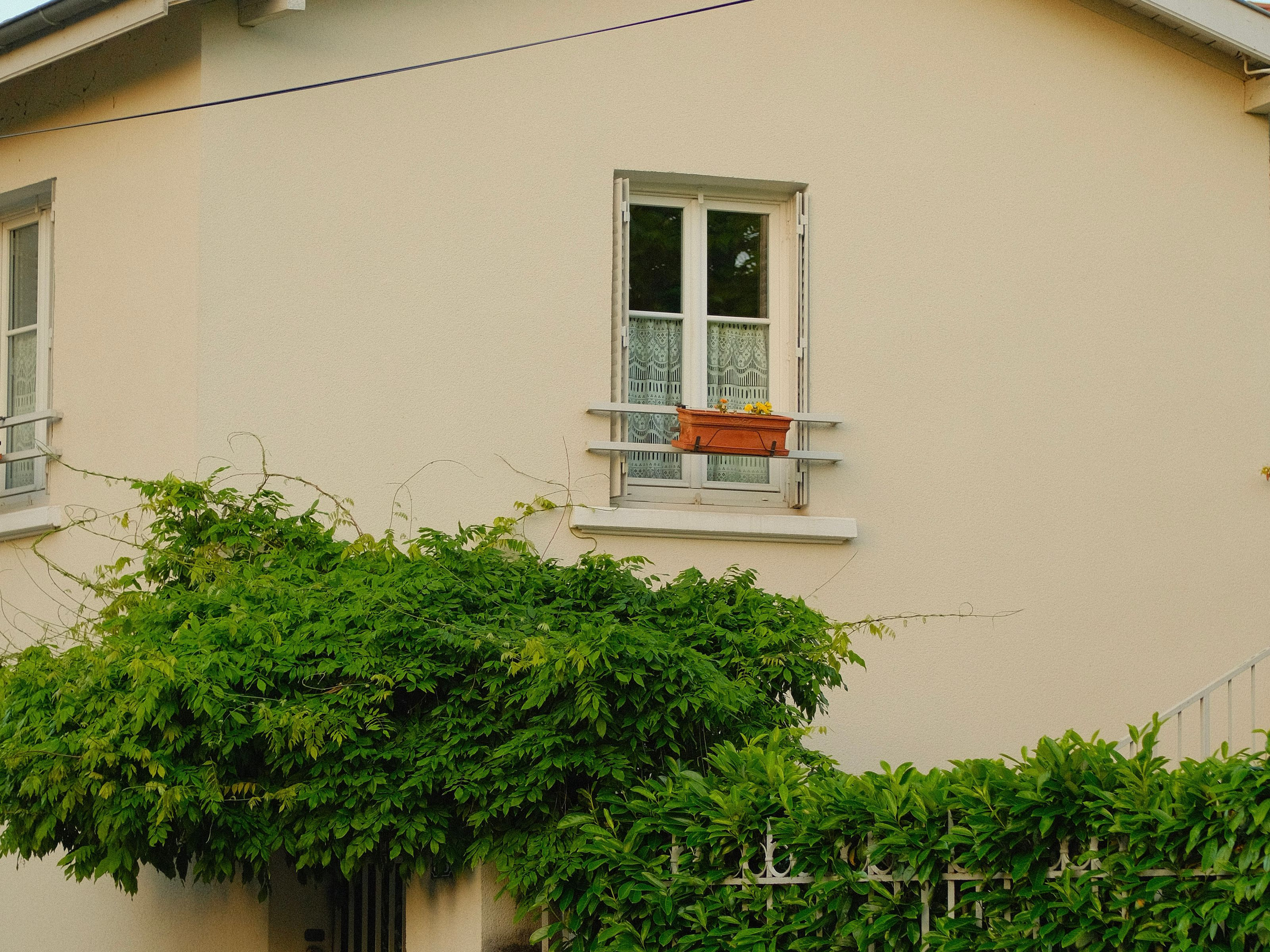 Ruhige Hauswand mit einem Fenster hinter dichtem Grün