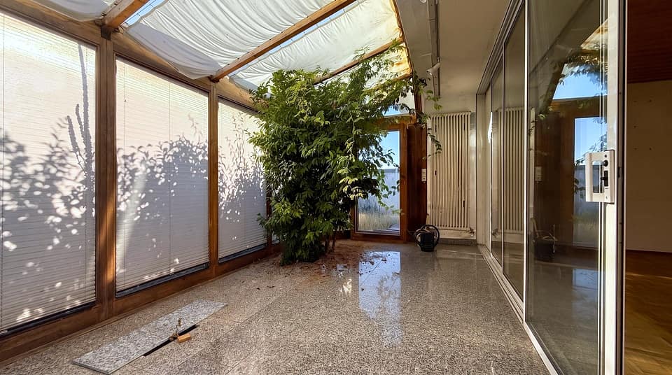 Wintergarten von innen mit großer Pflanze und Blick in den Wohnraum