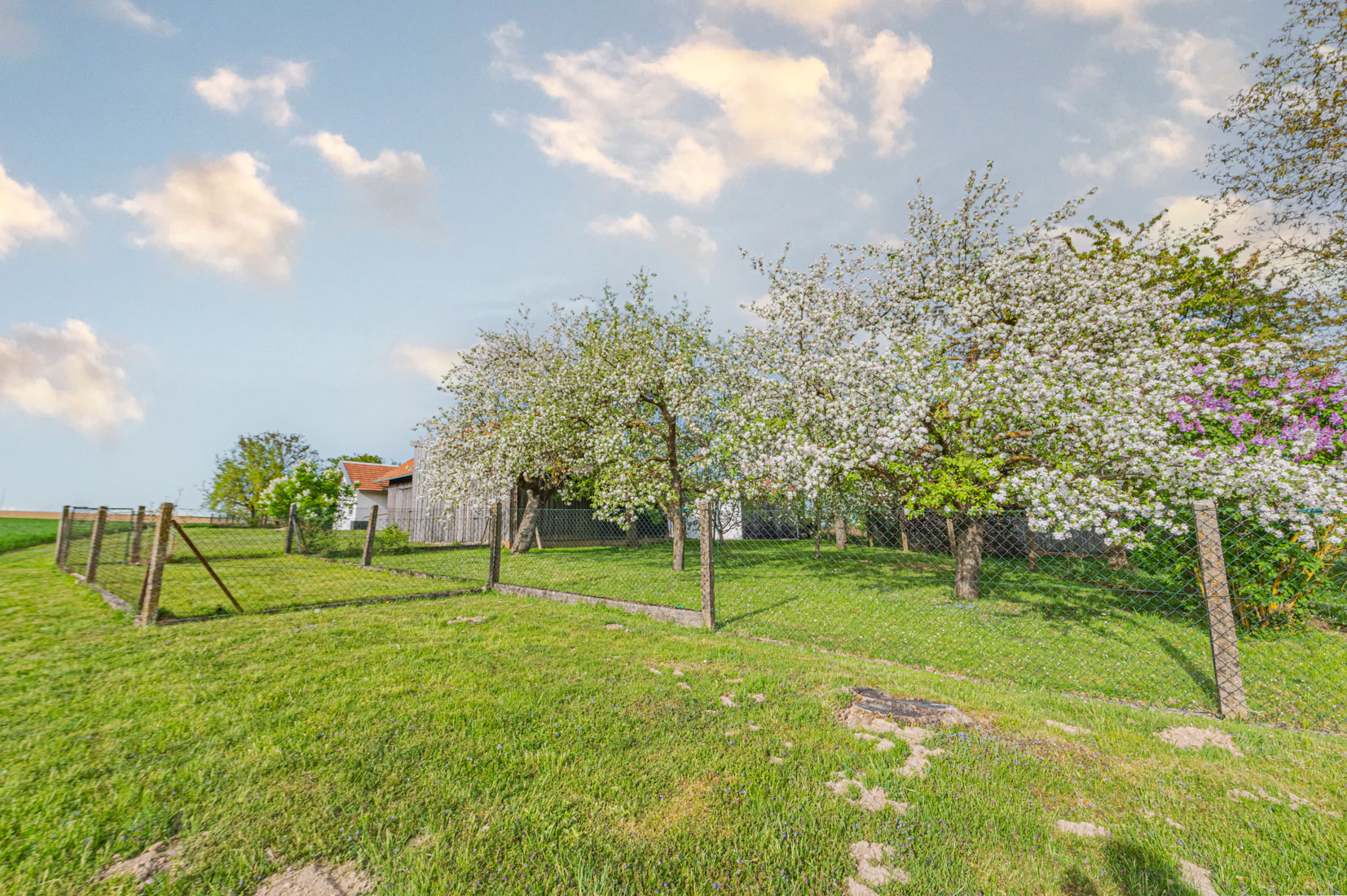 Obstgarten