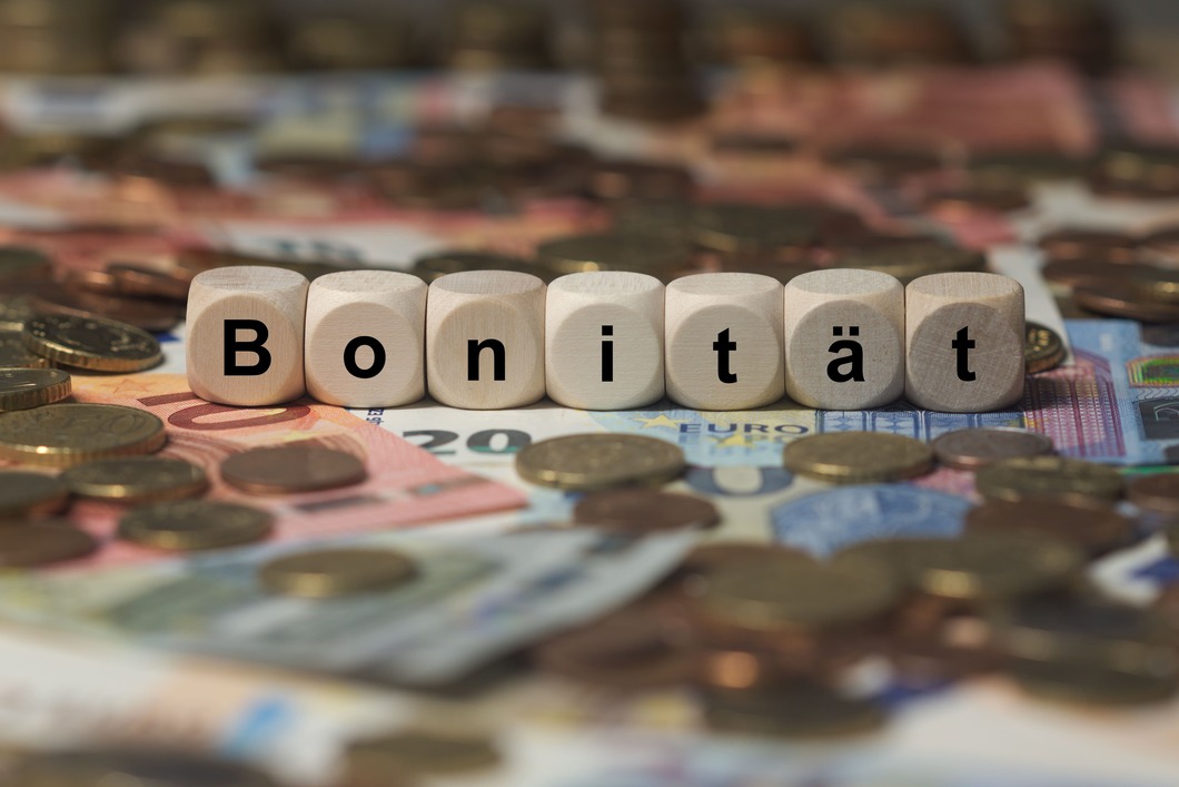 Modellwürfel Bonitätsprüfung