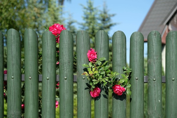 Ein grüner Holzzaun mit Rosen als Dekoration